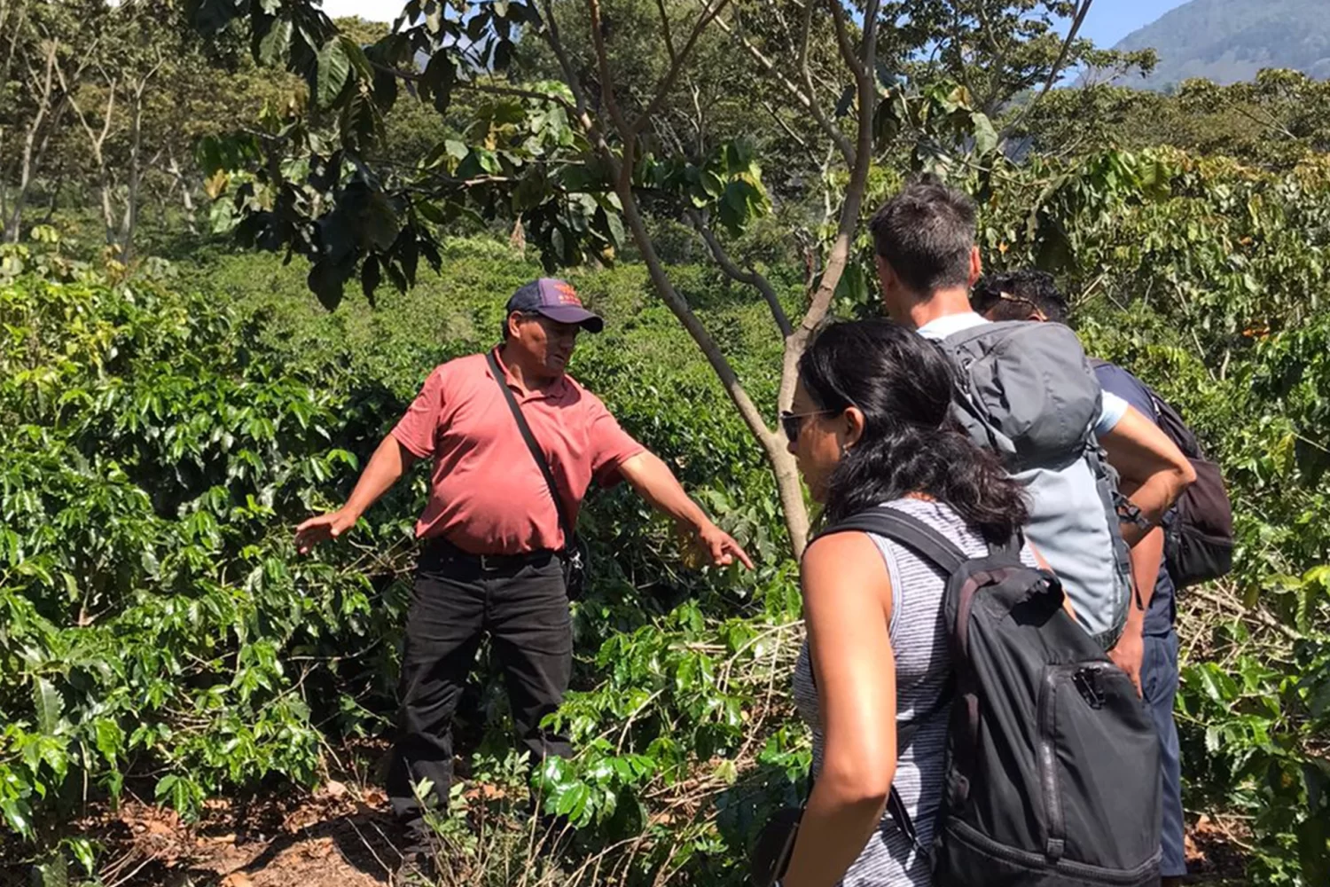 cultural-coffee-tour-chacaya-5