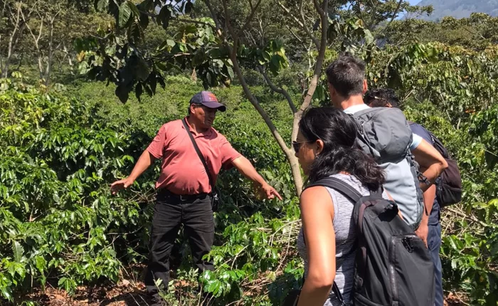 cultural-coffee-tour-chacaya-5