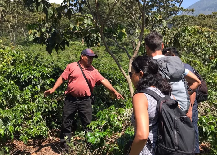 cultural-coffee-tour-chacaya-5