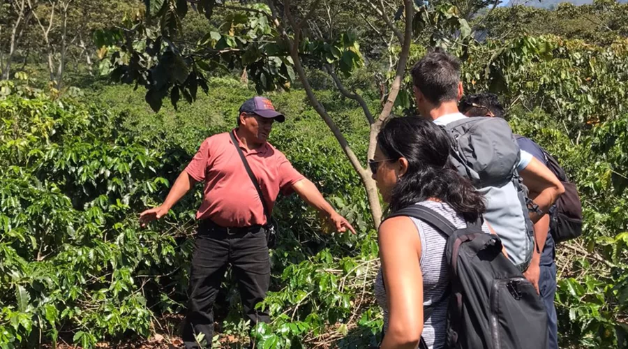 cultural-coffee-tour-chacaya-5